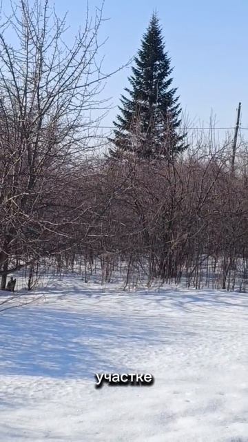 Начало! Возрождение заброшенного сада!