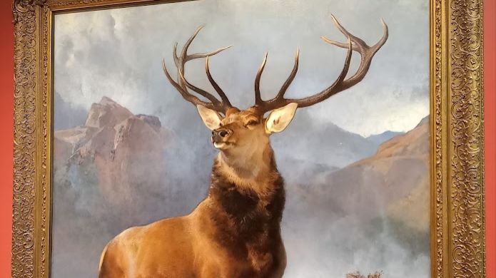 The Monarch Of The Glen