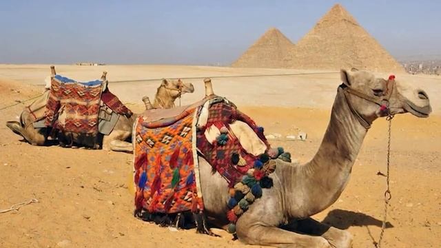 Египет фон 3_encoded