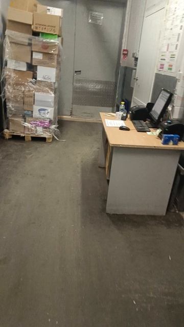 СМЕШНЫЕ КОТЫ 😺 2026 ЛУЧШИЕ ПРИКОЛЫ С КОТАМИ ,КОШКАМИ ,ЖИВОТНЫЕ,СМЕШНЫЕ ВИДЕО