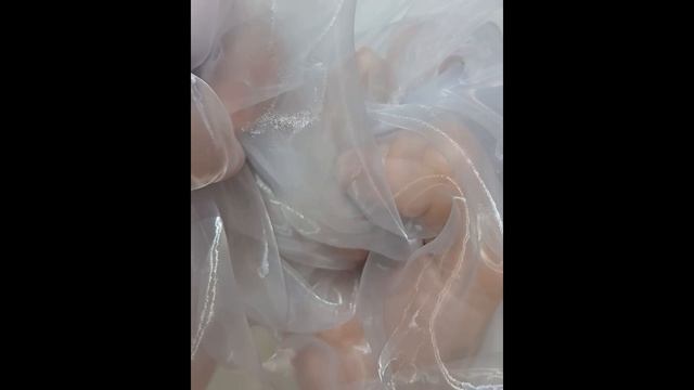 Органза без цвета GIVENCHY ФРАНЦИЯ