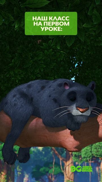 😅 Когда ты ещё не успел проснуться, но учитель решил начать важную тему на первом уроке...