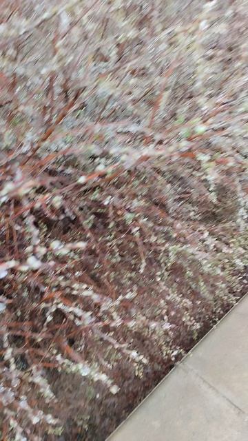 Екатеринбург сегодня