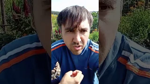 Чакра. Какая чакра важнее всего, можно ли  работать хаотично?