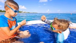 Влад и Ники - Семейные поездки в зоопарк и парк развлечений для детей