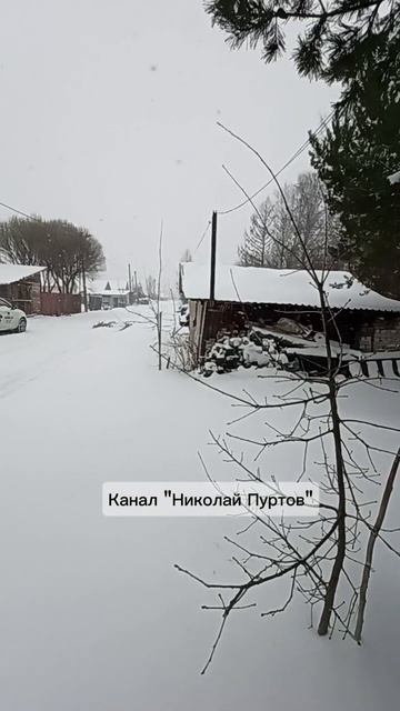 Зима вернулась?🌨️🤔🙂