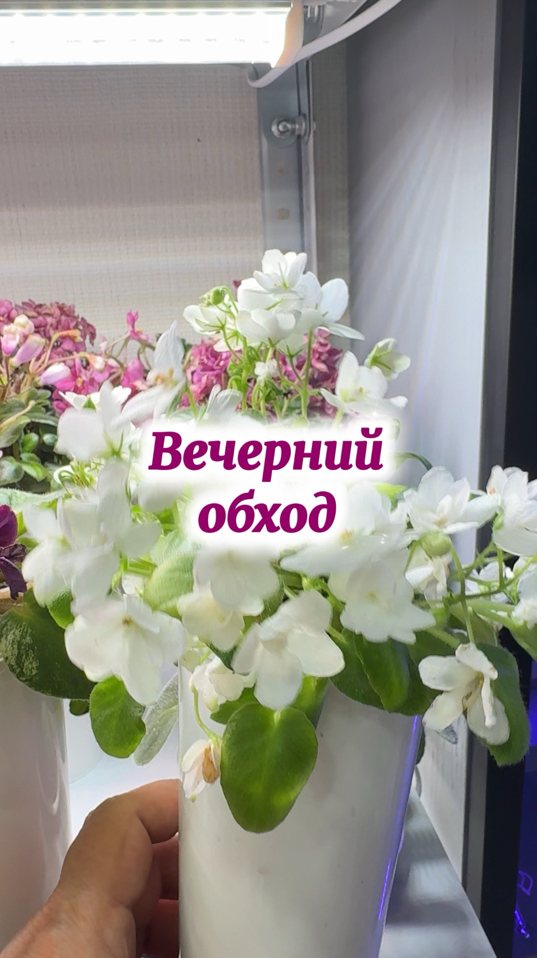 Вечерний обход по минюшкам