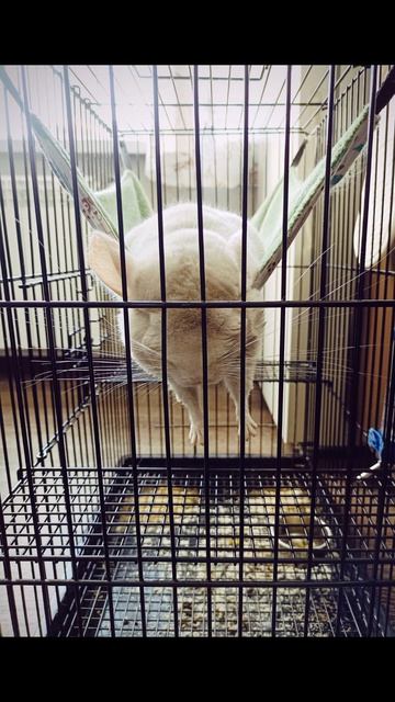 КЛИП ПРО БУСЮ