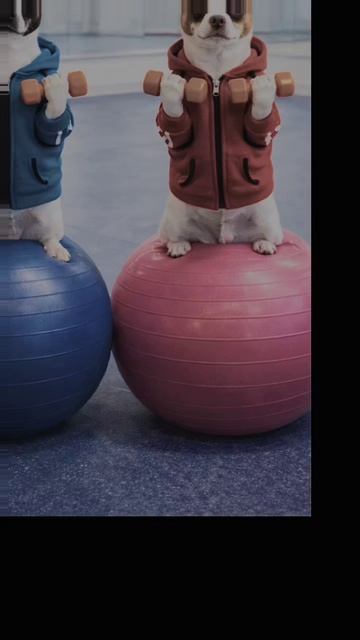 🔥 Идеальная тренировка 90/60/90 — путь к красивой фигуре💃