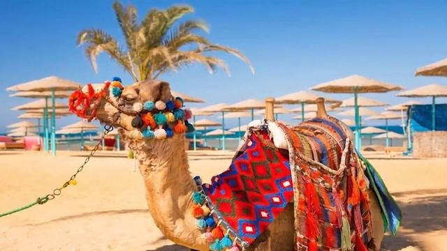 Египет фон  8_encoded