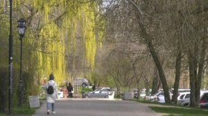 Батареи воронежцев вновь потеплеют