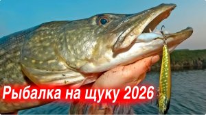 Рыбалка на щуку 2026 воблер спининг удочка наживка  жор щуки