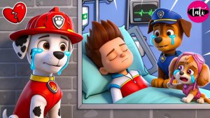 Щенячий патруль и Маршалл. Залипательное видео. Мультфильм для детей и малышей. Анимация 428