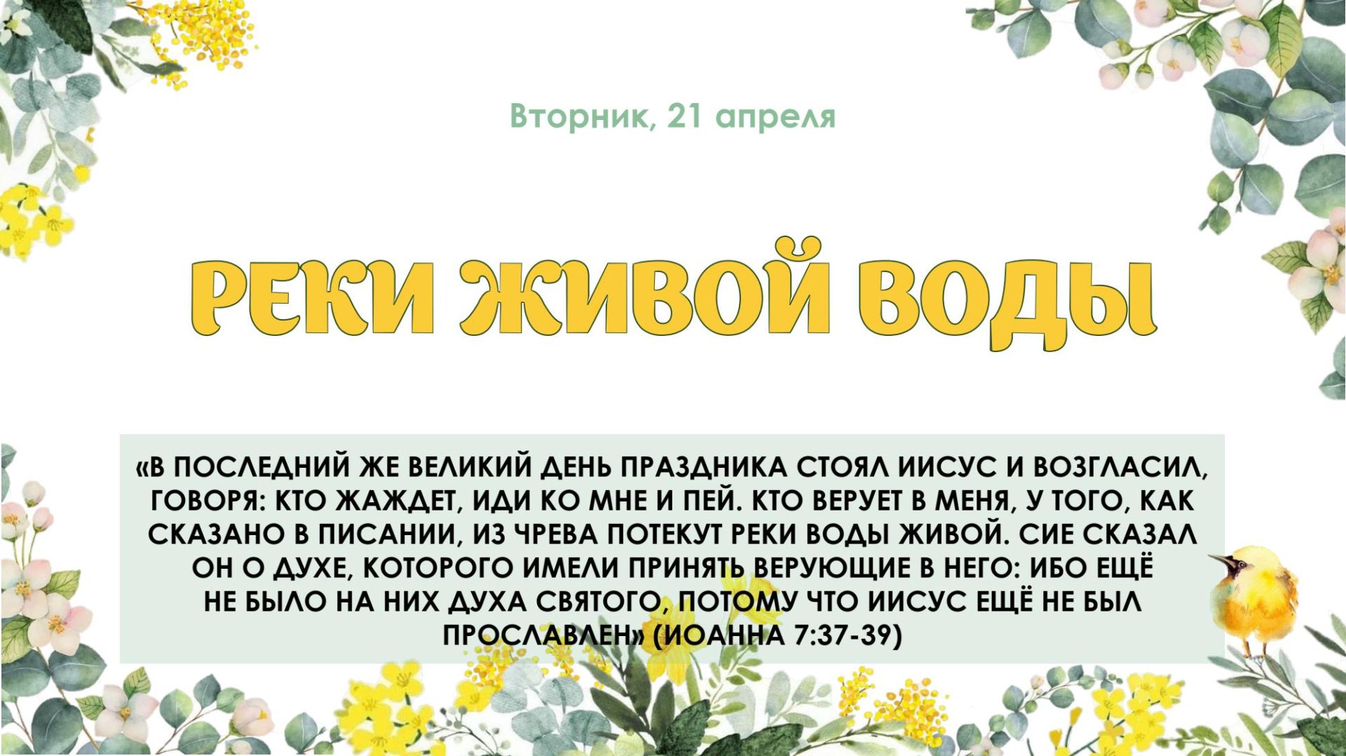 Реки живой воды