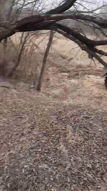 Потготовка к весенней охоте 2026г.