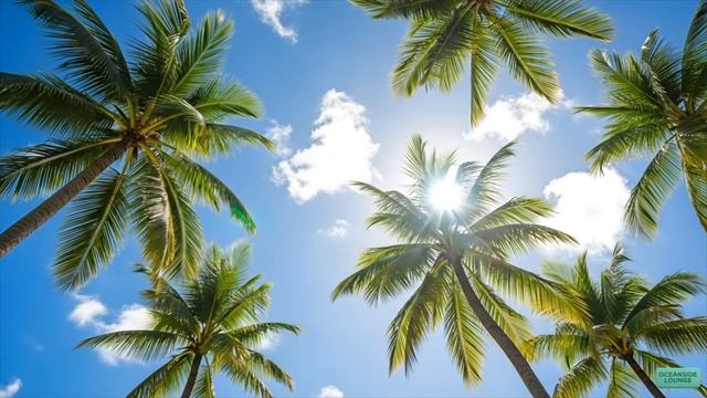 Paradise Breeze Lounge 🌴 Chillout Music for a Perfect Ocean Escape