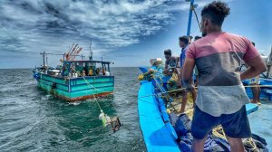 Здорово! На пятый день мы остались в открытом море и поймали тунца