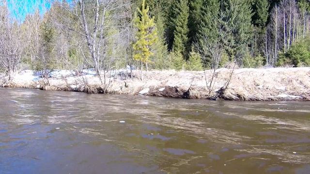 Сплав по реке Койва в половодье от моста перед Тёплой горой до Кусье - Александровского. Часть 1.
