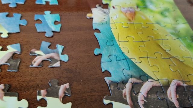 Поможем детям сиротам вместе.