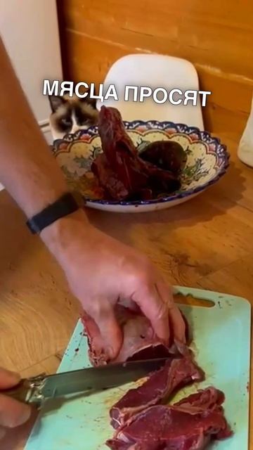 Кадры не для слабонервных… Гепард вышел на охоту