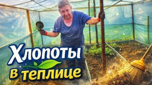 🇰🇿 КАЗАХСТАН 49-26!САДО-ОГОРОДНЫЙ ВЛОГ/НАТЯНУЛИ СЕТКУ ДЛЯ ОГУРЦОВ/РАССАДА НА МЕСТЕ/ОСВЕЩЕНИЕ САДА