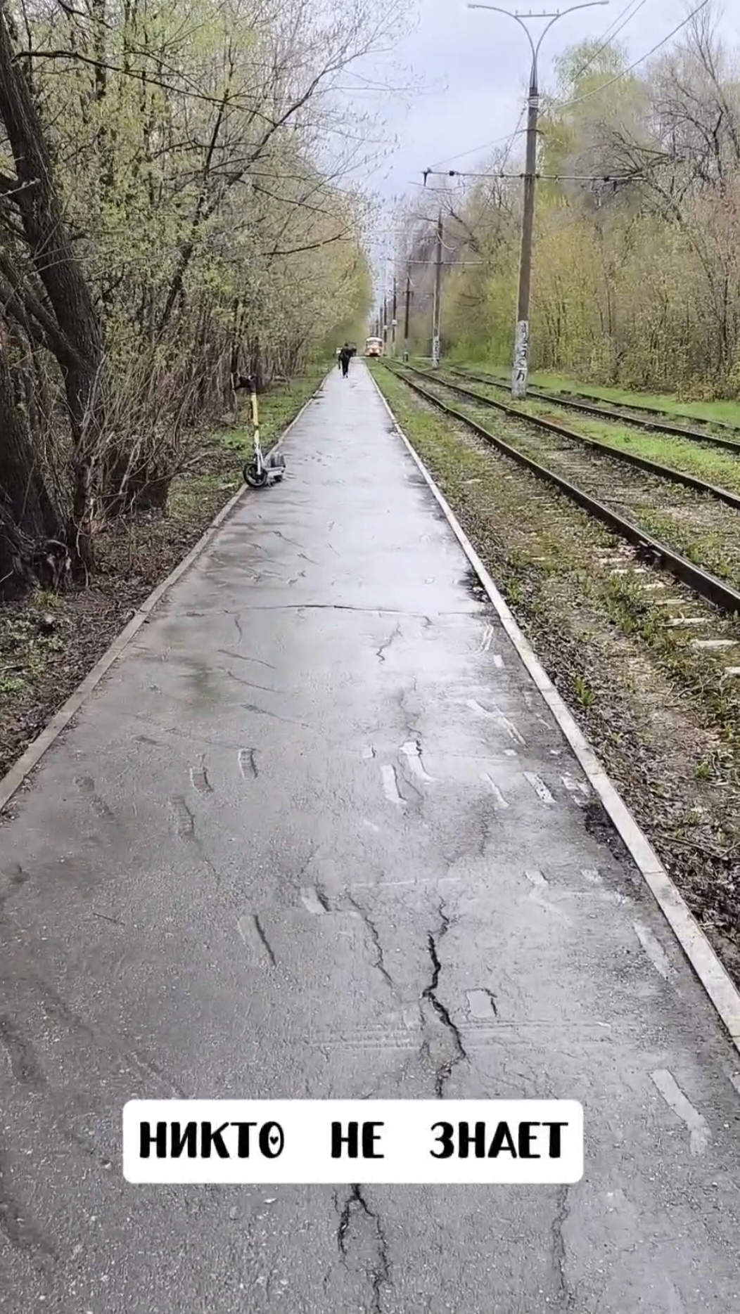 Никто не знает...