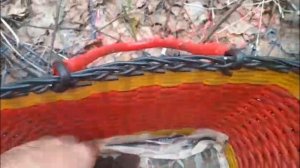 Сморчки и строчки/поход в лес/первые грибы