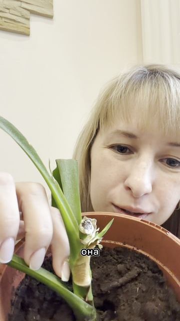 Что делать?