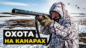 Гусиная охота на Канарах | С полем!