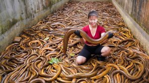 Наловила угрей, выращенных в садках, отправляется на продажу на деревенский рынок | Ly Tieu Toan.