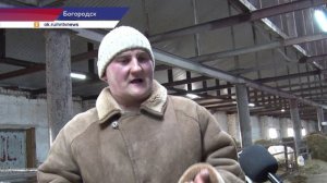 Оператор животноводческого комплекса на Лакшинской ферме рассказал о своей работе