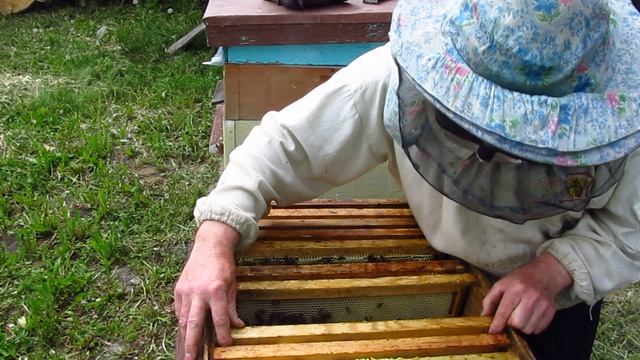 Рокировка рамок с вощиной в улье #пчеловодство