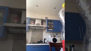 79847272105__87E1C538-9BDA-4434-A9BA-E504EDE51FD9