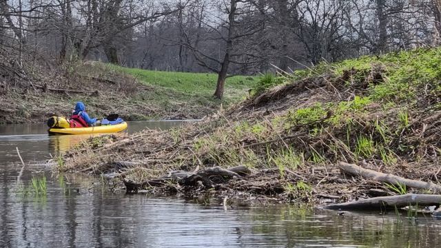 Апрельское пение птиц на Анграпе