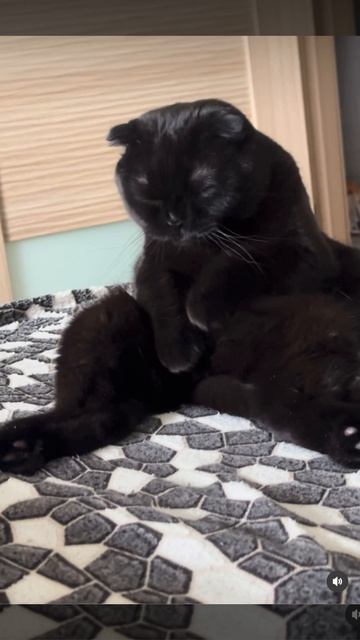 Как у вас погода ?)