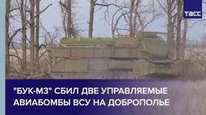 "Бук-М3" сбил две управляемые авиабомбы ВСУ на Доброполье