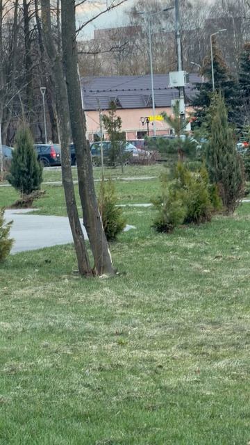 Парк восточный