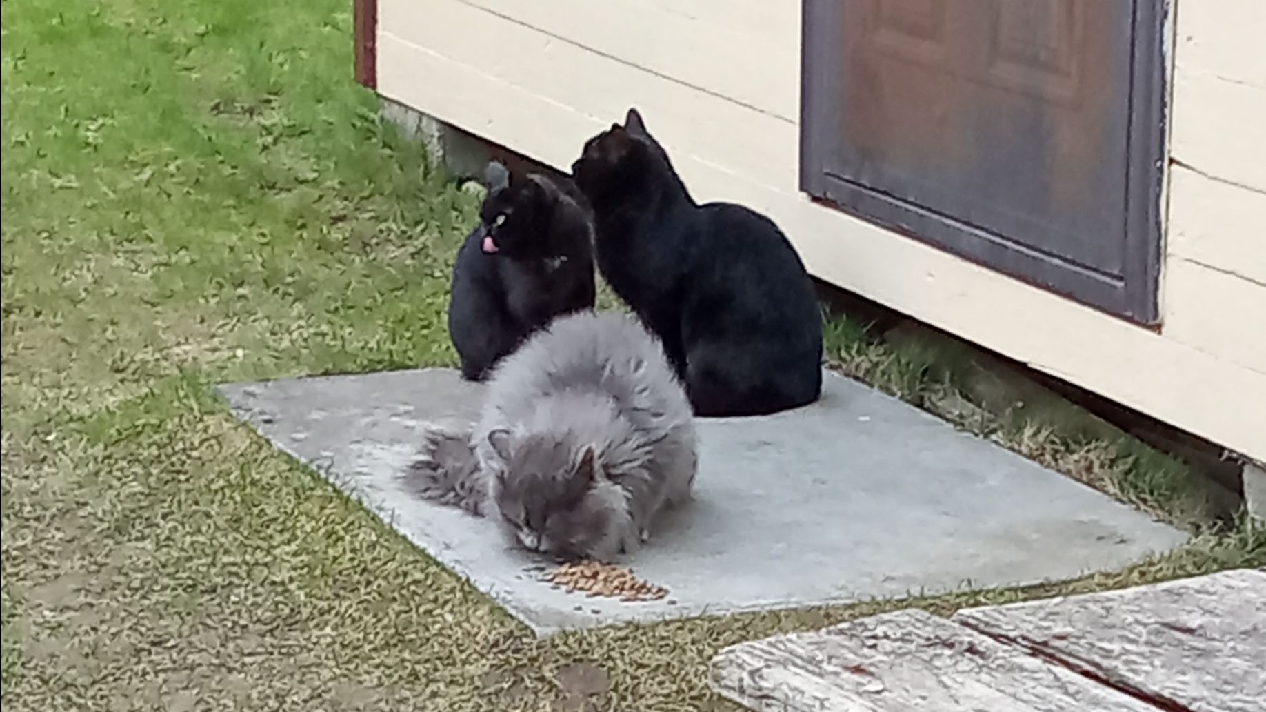 Срочные новости подпишитесь!