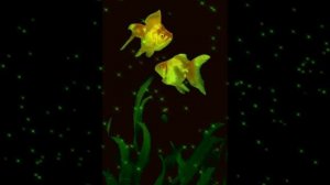 Колыбельная. Стихи, клип Людмила Ураева. Поёт Елена Маак. Муз., пианино Наталья Фомина