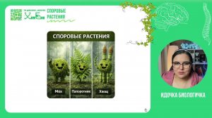 Споровые и Голосеменные