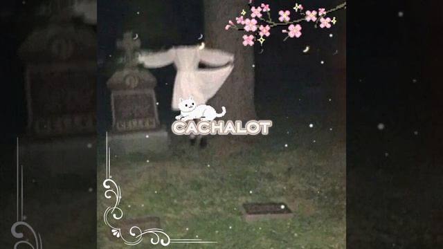 Cachalot