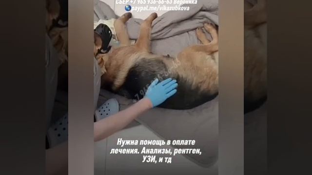 Дети боятся потерять свою МАМУ😭 Не отходят от неё..Сегодня мы стали свидетелями ужасной реальности,