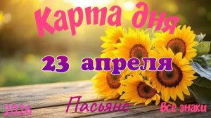 Карта дня🎁 23 апреля 🌞💐Пасьянс. Тайм-код в описании 🦢