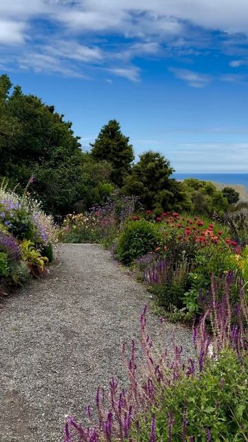 VID_20260421_214455_602.mp4