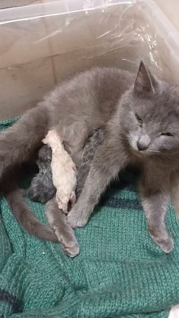 Что мне делатьььььььь?