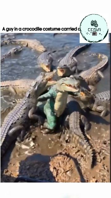 ПОПЛАВАЛ С КРОКАДИЛАМИ И ОДНОГО УТАЩИЛ