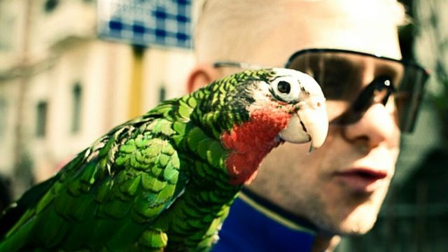 Митя Фомин - Огни большого города