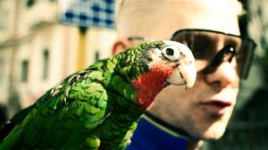 Митя Фомин - Огни большого города