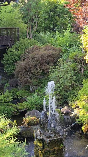 Река в деревушке  Ошино Хаккаи, Яманаси, Япония