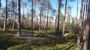 сплав по сопе 5